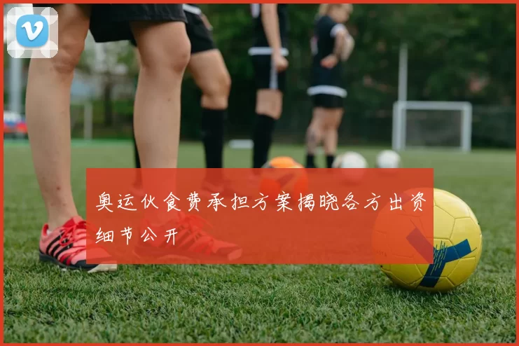 奥运伙食费承担方案揭晓各方出资细节公开