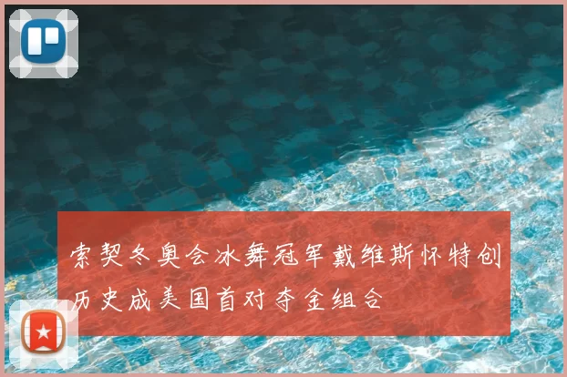 索契冬奥会冰舞冠军戴维斯怀特创历史成美国首对夺金组合